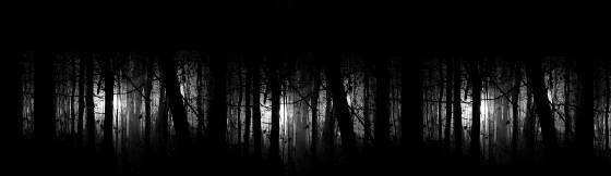 darkwoods.jpg